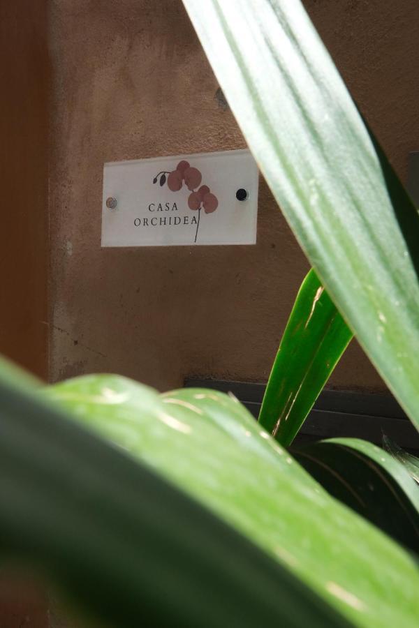 Apartamento Casa Orchidea Roma Exterior foto